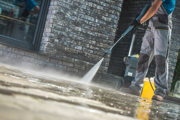 Best Animal Enclosure Cleaning  in Randallstown, MD